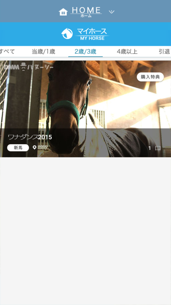 DMMバヌーシー　持ち馬の一覧