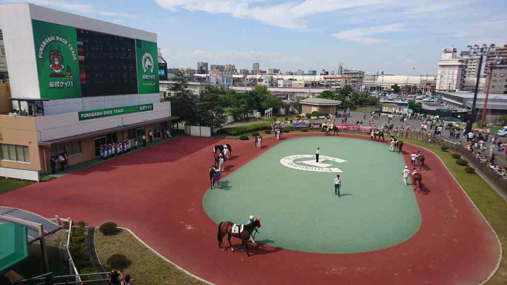 船橋競馬場の馬主席から見たパドック