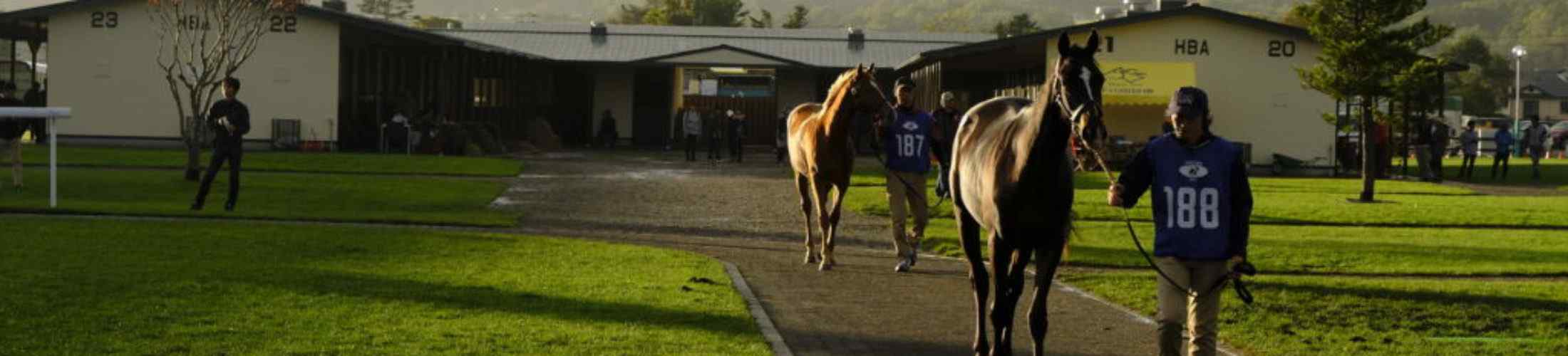 サラブレッドオークションで馬を買ったサラリーマン馬主の話 馬主になるには日記 サラブレッドオークションで馬を買ったサラリーマン馬主の話 馬主になるには日記