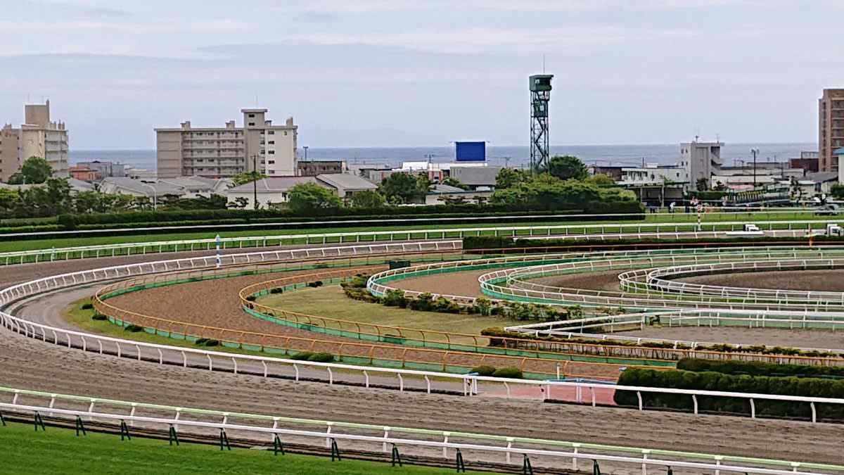 函館競馬場からの水平線