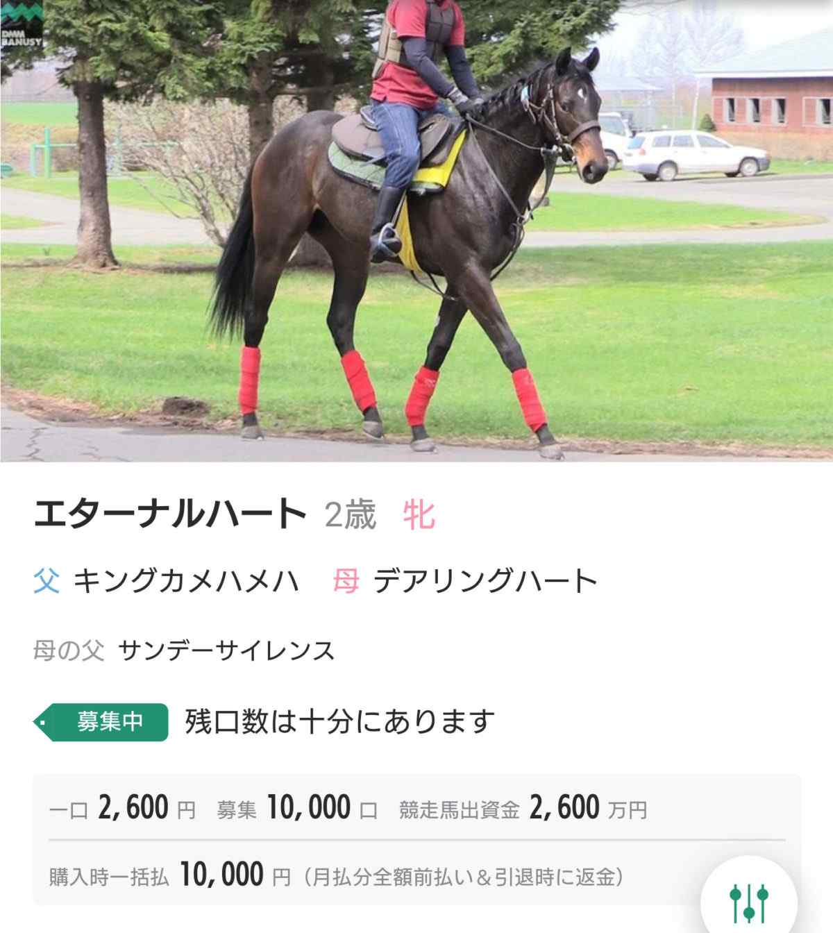 DMMバヌーシーの出資馬情報