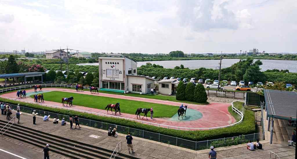 金沢競馬場のパドック