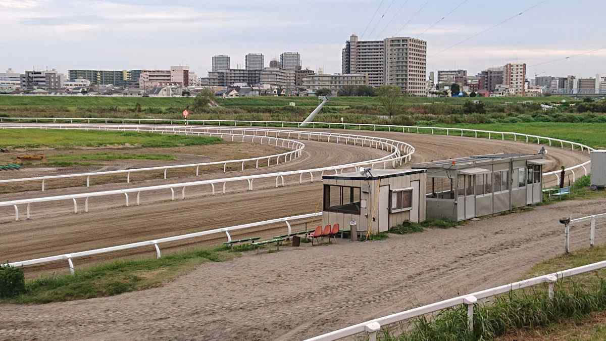 川崎競馬場・小向練習馬場