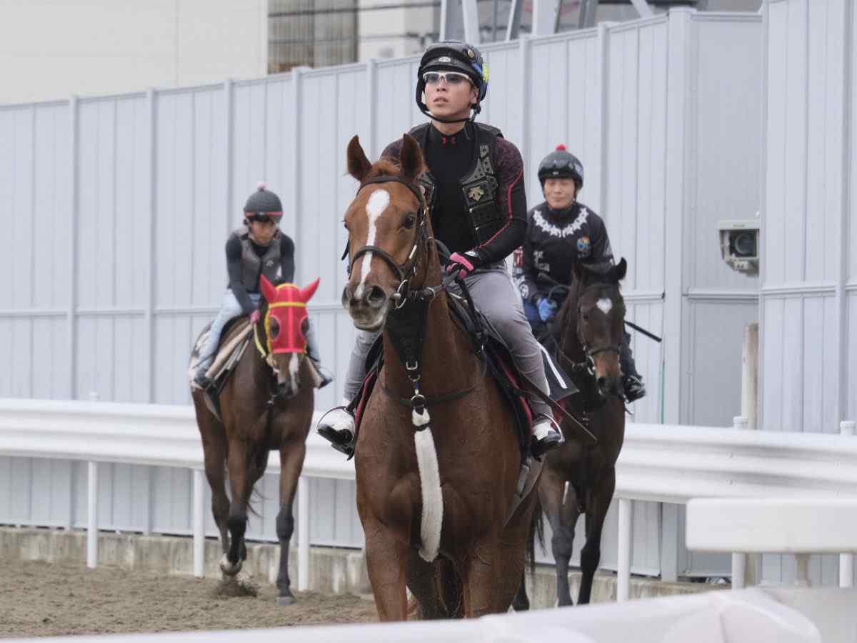 本馬場のシトリンちゃん