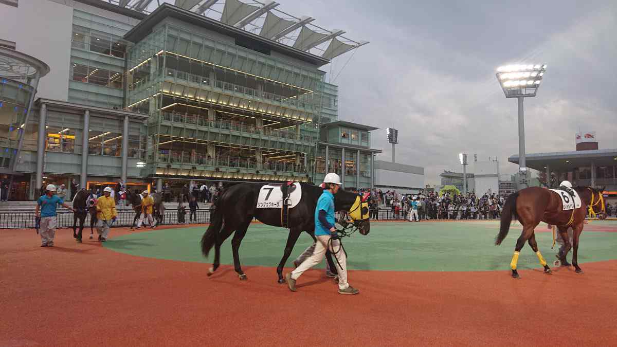 パドックも2人引き