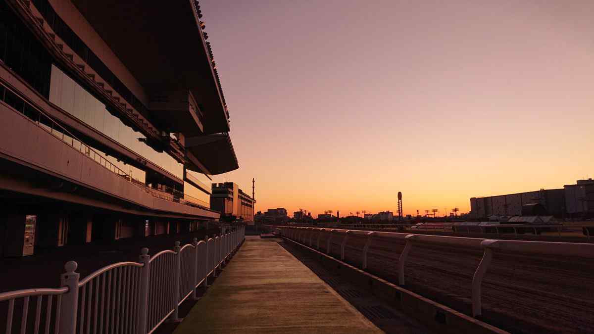 朝の川崎競馬場