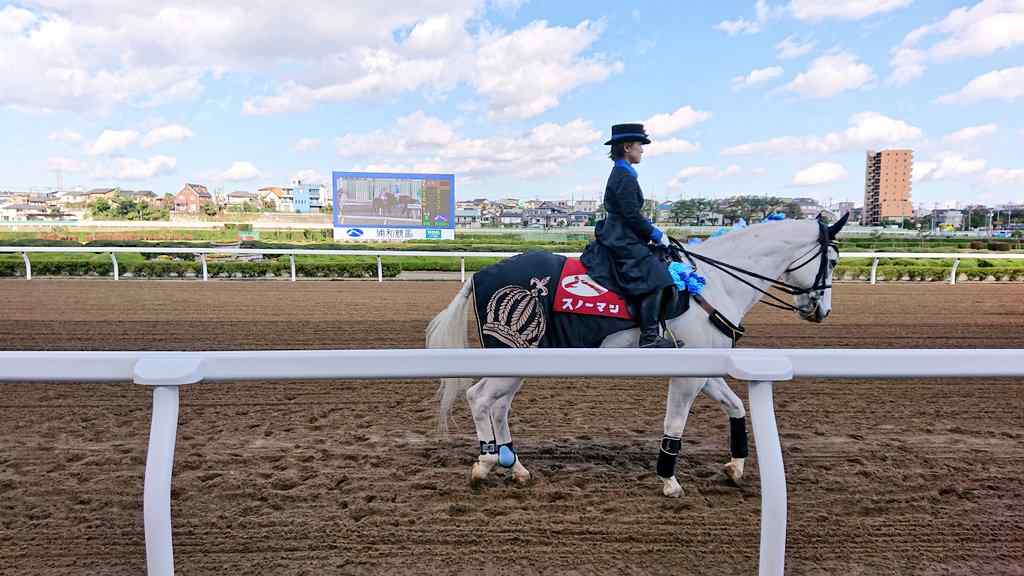 浦和の誘導馬