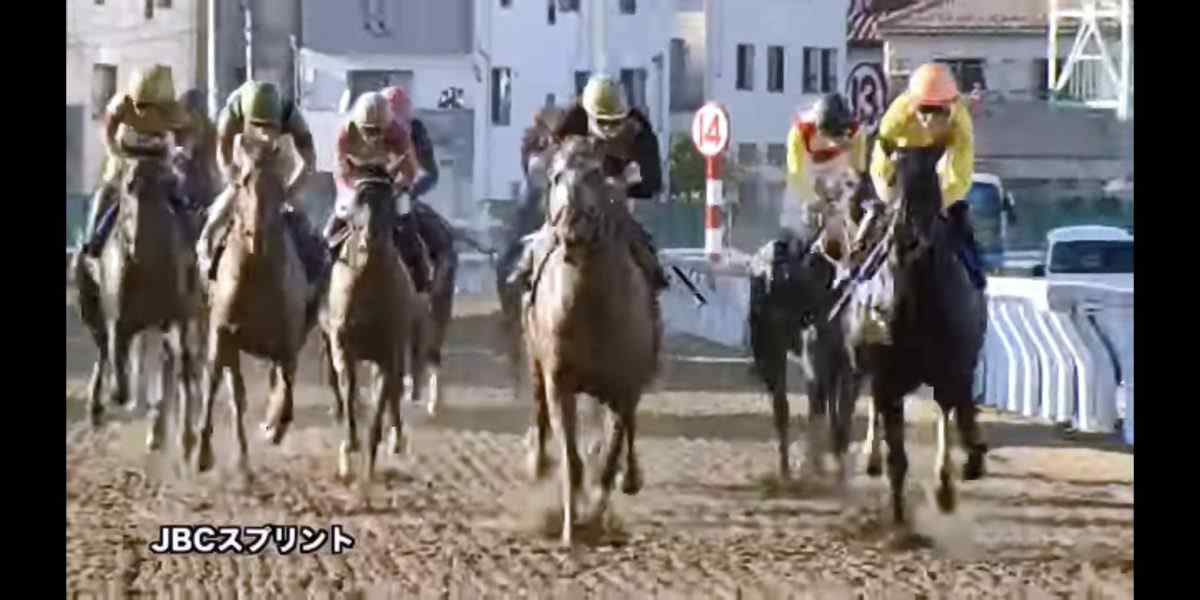 ブルドックボスの優勝