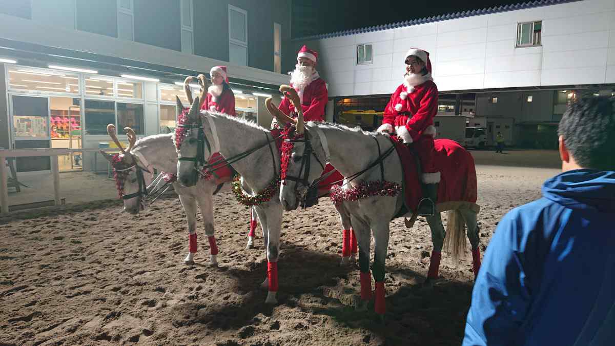 ホワイトクリスマス賞の誘導馬