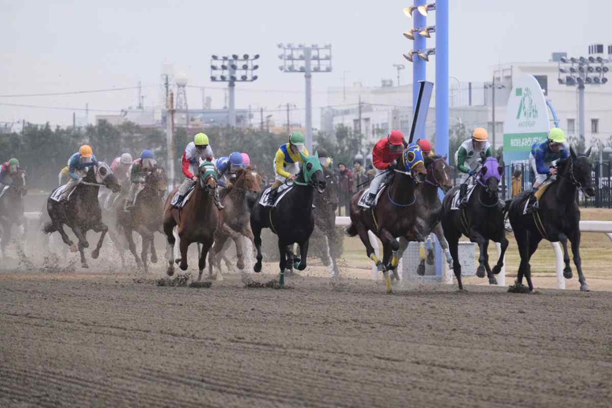 川崎競馬場