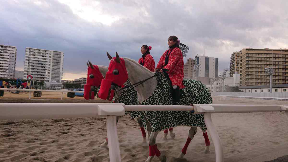 お年始の誘導馬