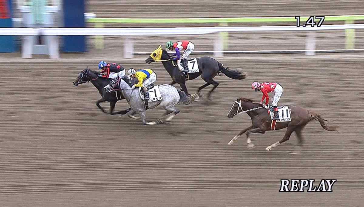シンジュクマスク初勝利