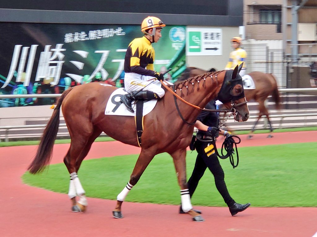 シトリンちゃんと本橋孝太騎手