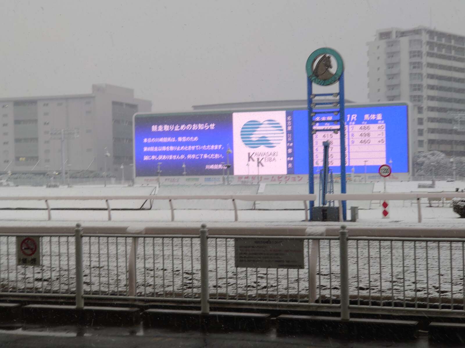 降雪中止！