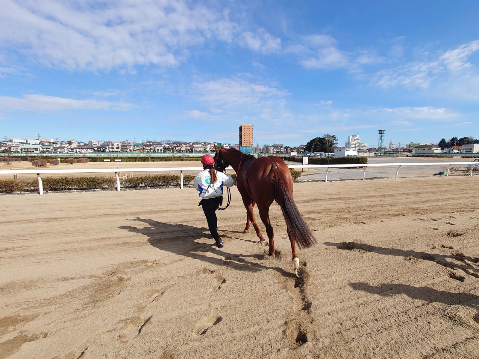 浦和競馬場での口取り