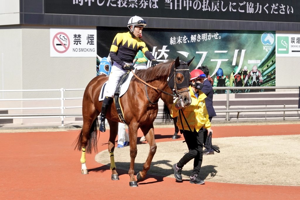 シトリンちゃんと本橋孝太騎手