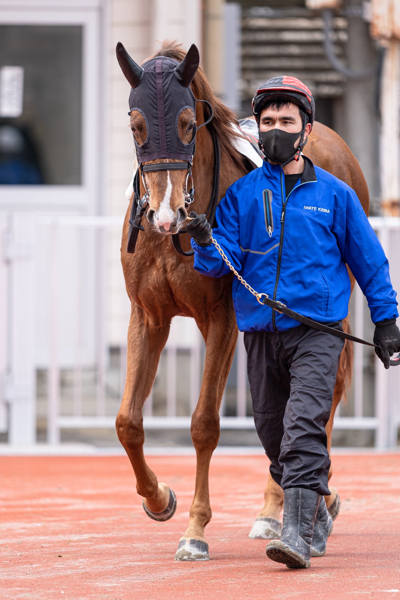 セキレイオペラと厩務員さん