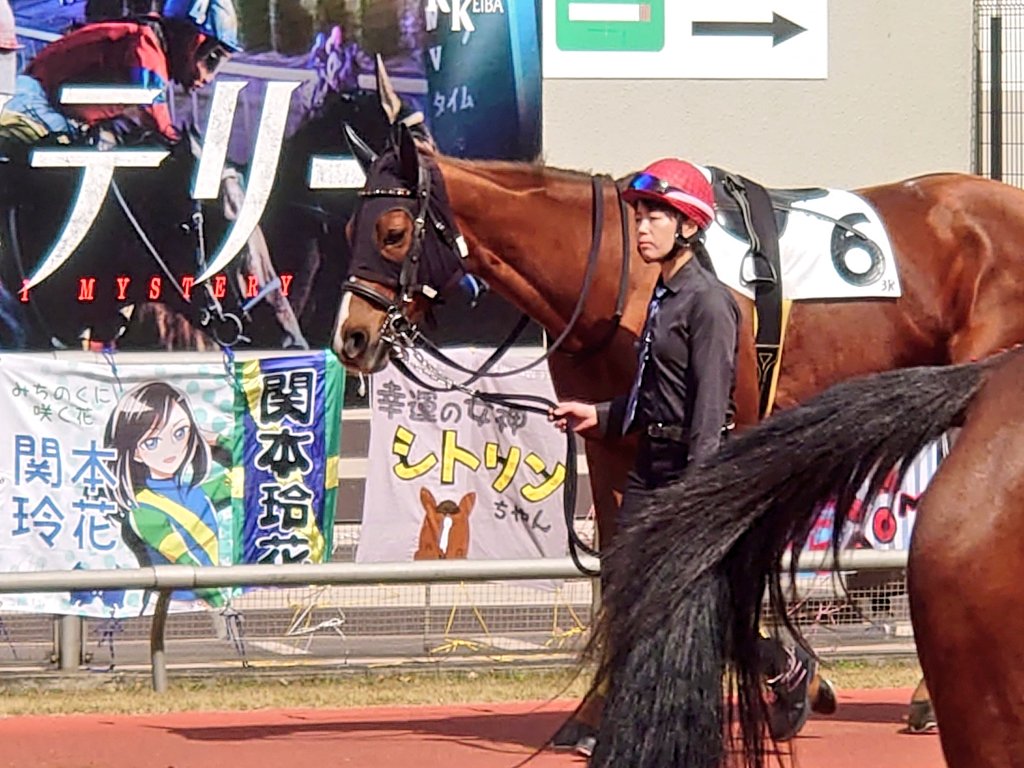 シトリンちゃんと横断幕